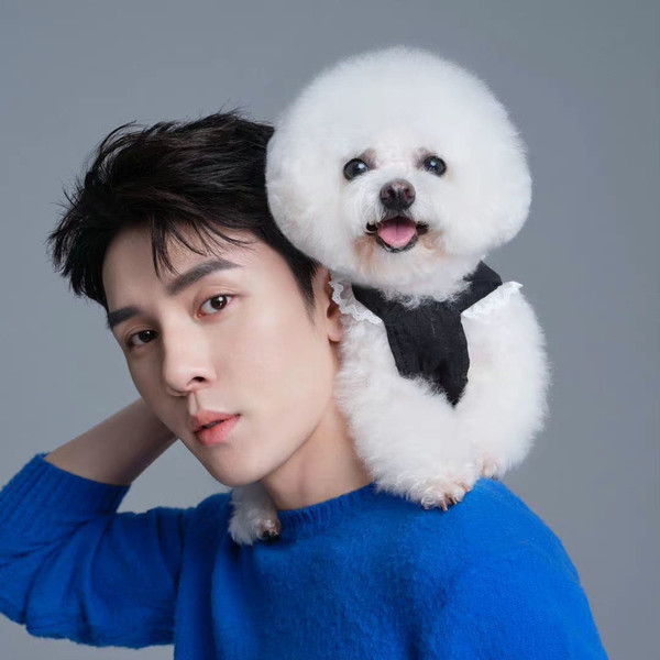 李佳琦辛选风波不断 双11直播带货乱象有何“病根”? 李佳琦辛选风波不断 双11直播带货乱象有何“病根”?