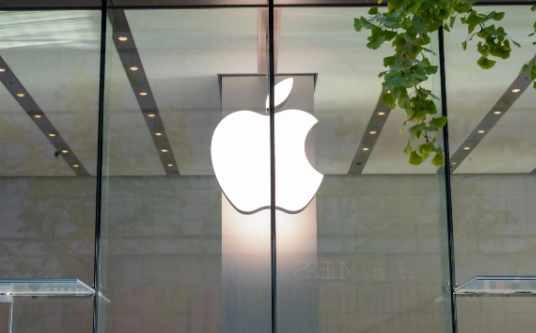 苹果上诉印度法院欲叫停新规 避免380亿美元天价罚款