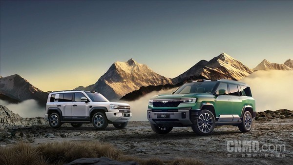 2025年硬派越野车型销量哪家强？坦克前四独占三