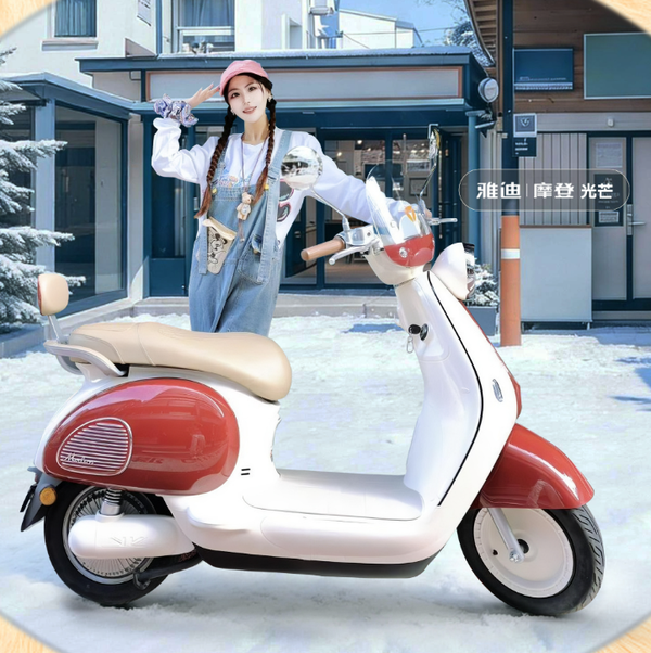 2025年中国电动两轮车品牌份额排名：雅迪第一 九号第四