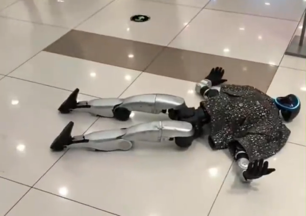 机器人撞人背后：2026年我们离家庭机器人还有多远？