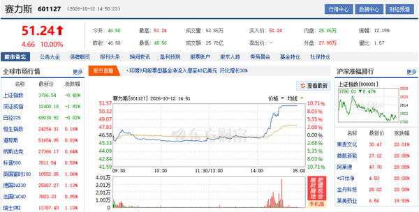赛力斯A股涨停 赛力斯A股涨停 最新市值约892亿元 问界计划明年入欧